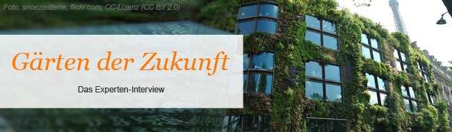 Foto: snoeziesterre, flickr.com, CC-Lizenz (CC BY 2.0) Komplett begrünte Hausfassade.