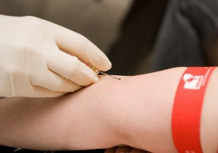 behandschuhte Hand nimmt Blut ab