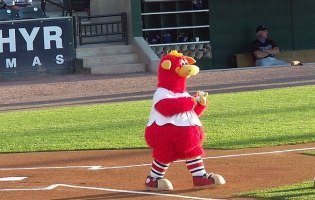 Foto: Tom in NYC / www.flickr.com, CC-Lizenz (by) Maskottchen in Stadion