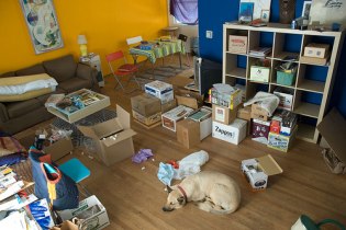 Foto: Joel Carranza, flickr.com, CC-Lizenz (CC BY-NC-SA 2.0) Auf dem Bild sind Umzugskisten und ein Hund auf dem Boden zu sehen. Alles sieht etwas chaotisch aus.