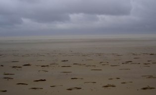 Ein Strand, an dem Ebbe herrscht.