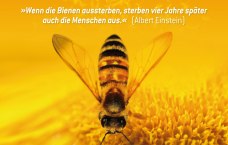 Auf dem Bild ist eine Biene zu sehen.